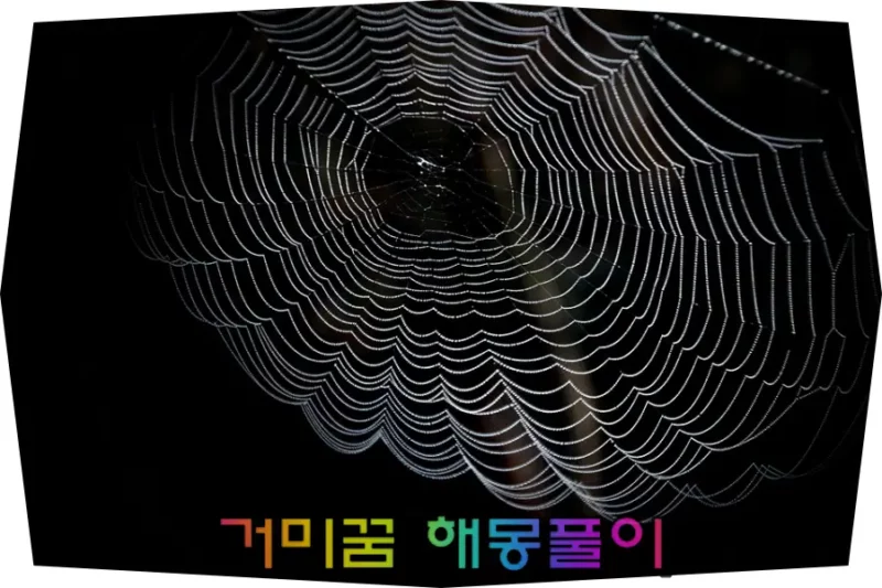 거미줄 맨 중안에 있는 거미의 사진