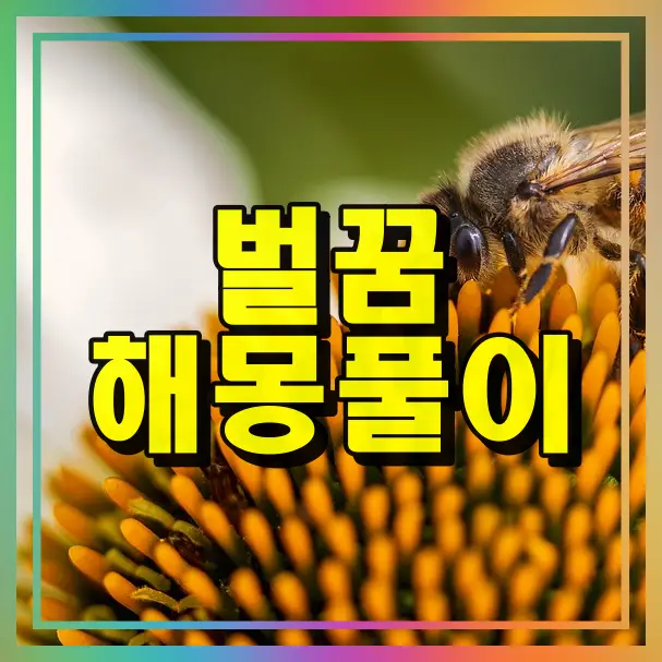 벌에 쏘이는 꿈해몽풀이 썸네일 화면