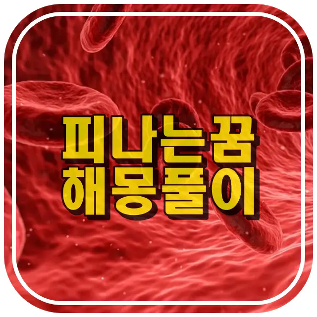 피나는 꿈 썸네일정보