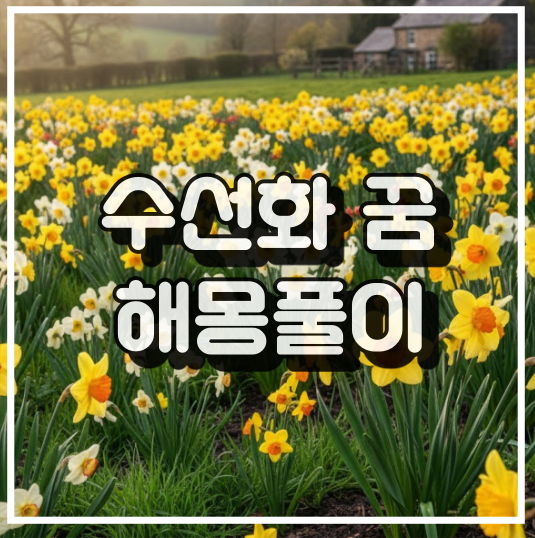 수선화 꿈 해몽: 새로운 시작, 사랑, 자신감을 상징하는 꽃 썸네일 이미지