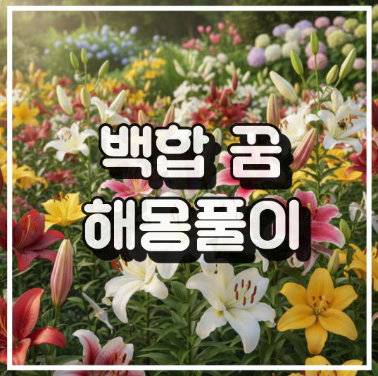백합 꽃 꿈 해몽: 순결, 청렴, 순수한 사랑의 상징 썸네일 이미지