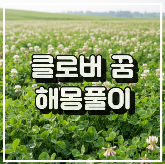 클로버가 나오는 꿈의 의미 썸네일 이미지