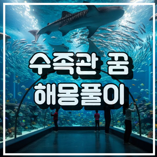 수족관 꿈 해몽 썸네일 이미지