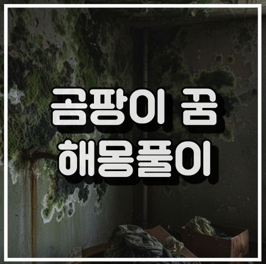곰팡이 꿈 해몽풀이: 습하고 낡은 벽에 핀 검고 푸른 곰팡이 썸네일 이미지