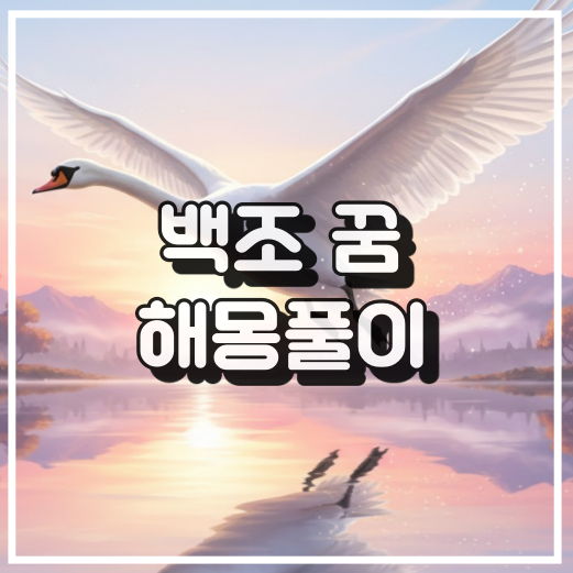 백조 꿈 해몽, 우아함과 높은 목표의 상징 꿈해석 썸네일