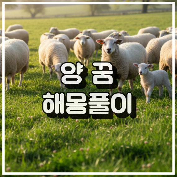 양의 꿈 해몽, 평화와 풍요의 상징 꿈해석 썸네일