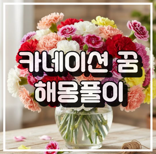 카네이션 꿈 해몽: 친애, 감사, 사랑의 감정 상징 썸네일 이미지