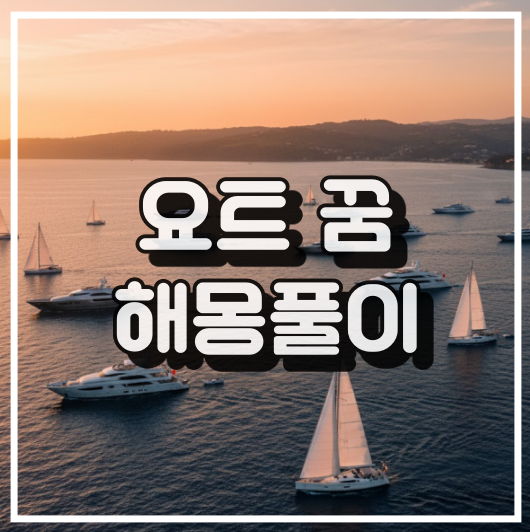 요트의 꿈 썸네일 이미지