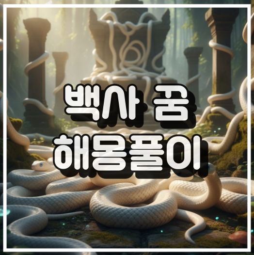 백사 꿈 해몽 썸네일 이미지