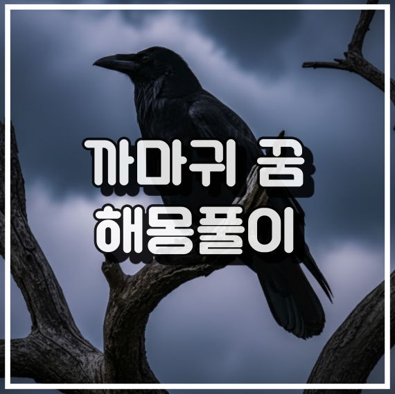 까마귀 꿈 해몽, 불길한 징조와 재난 경고 꿈해석 썸네일