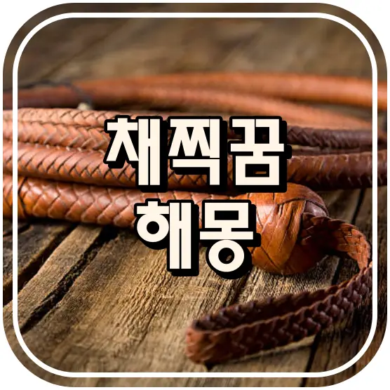 채찍꿈 썸네일