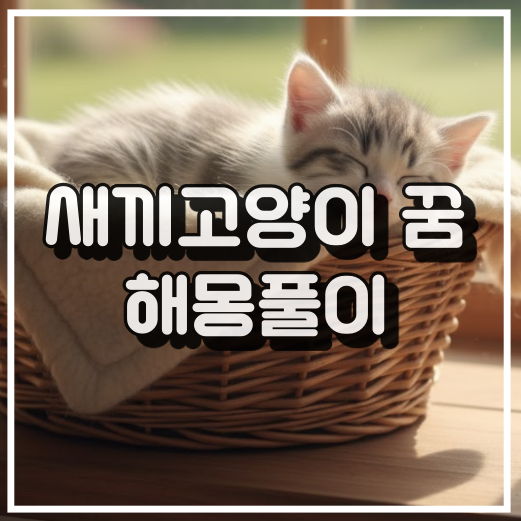 새끼 고양이 꿈 해몽, 순수함과 새로운 사랑의 상징 꿈해석 썸네일