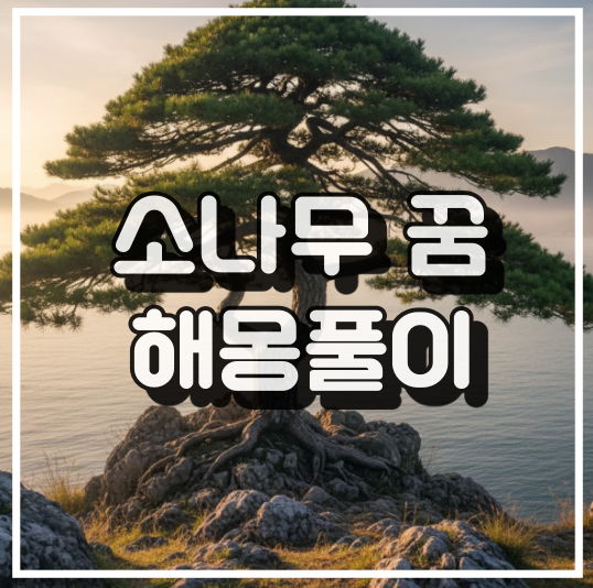 소나무 꿈 해몽: 번영, 건강, 성취감을 상징하는 길몽 썸네일 이미지