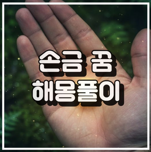 손금 꿈해몽 썸네일 이미지