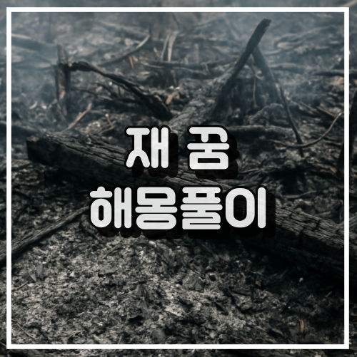 재가 나오는 꿈 해몽풀이 썸네일